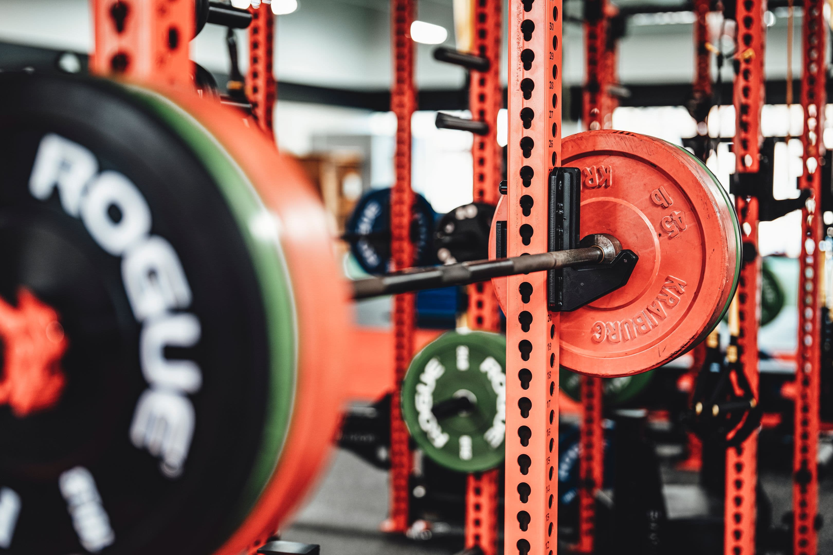 Loaded squat rack